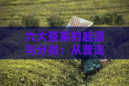 六大茶系的起源与分类：从普洱茶到大茶的深度解析