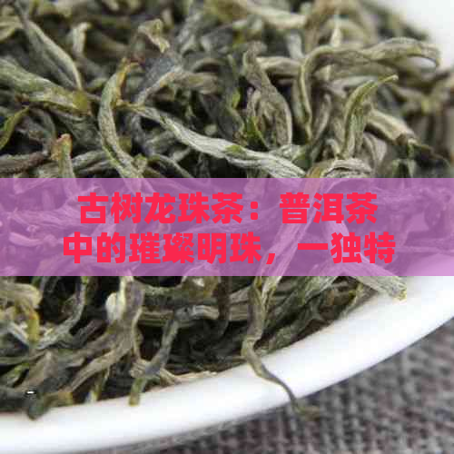 古树龙珠茶：普洱茶中的璀璨明珠，一独特的茶文化之旅