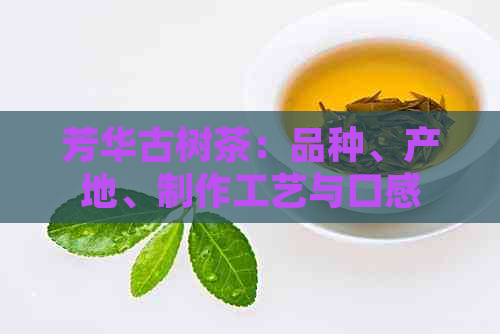 芳华古树茶：品种、产地、制作工艺与口感详解，如何选择与品鉴？