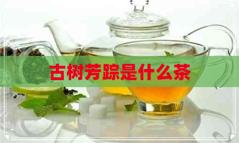 古树芳踪是什么茶