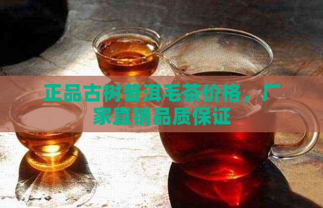 正品古树普洱毛茶价格，厂家直销品质保证