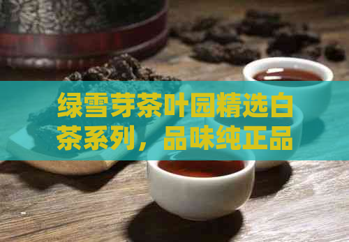 绿雪芽茶叶园精选白茶系列，品味纯正品质与价格优