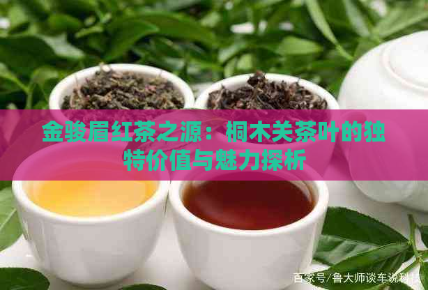 金骏眉红茶之源：桐木关茶叶的独特价值与魅力探析