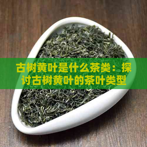 古树黄叶是什么茶类：探讨古树黄叶的茶叶类型、植物特性及口感