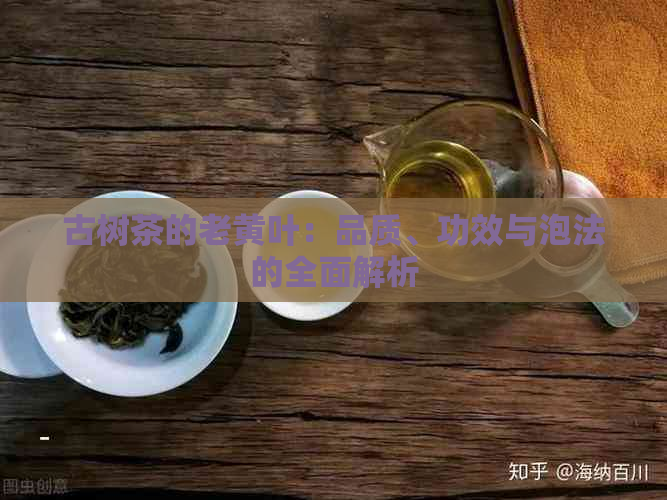 古树茶的老黄叶：品质、功效与泡法的全面解析