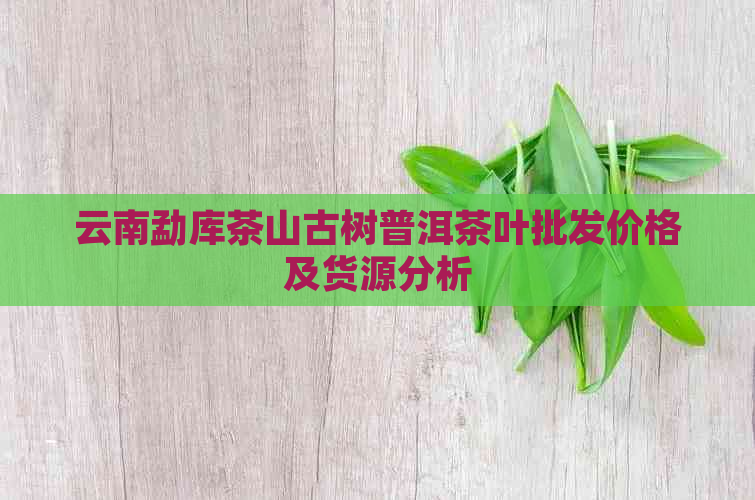 云南勐库茶山古树普洱茶叶批发价格及货源分析