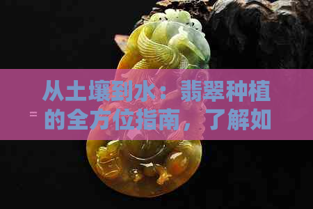 从土壤到水：翡翠种植的全方位指南，了解如何让翡翠更加迷人