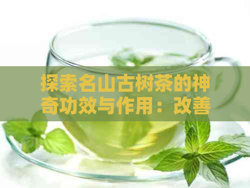 探索名山古树茶的神奇功效与作用：改善健、提高生活质量的综合指南