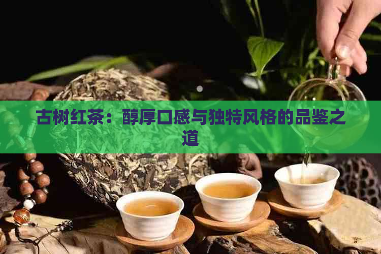 古树红茶：醇厚口感与独特风格的品鉴之道