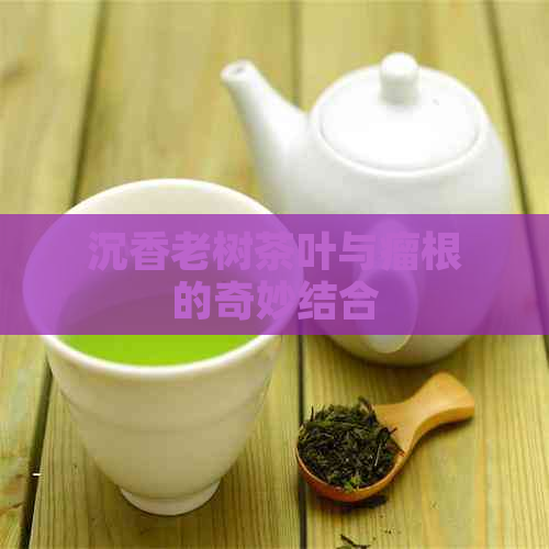 沉香老树茶叶与瘤根的奇妙结合