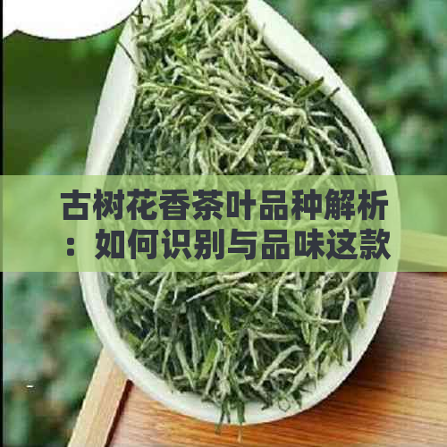 古树花香茶叶品种解析：如何识别与品味这款独特的茶叶？