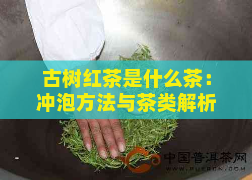 古树红茶是什么茶：冲泡方法与茶类解析