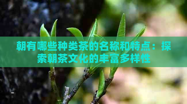 朝有哪些种类茶的名称和特点：探索朝茶文化的丰富多样性