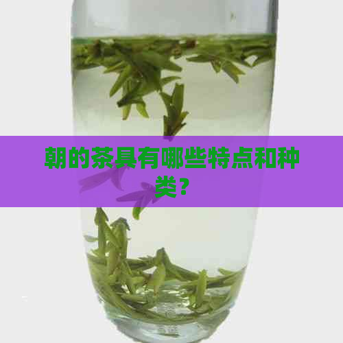 朝的茶具有哪些特点和种类？