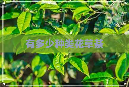 有多少种类花草茶