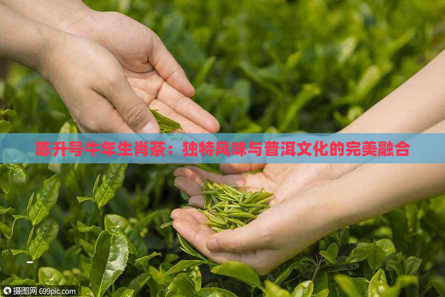 陈升号牛年生肖茶：独特风味与普洱文化的完美融合