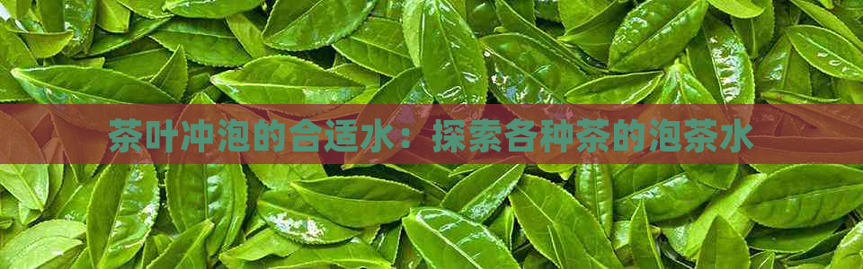 茶叶冲泡的合适水：探索各种茶的泡茶水