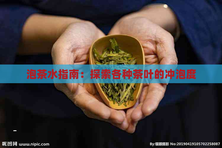 泡茶水指南：探索各种茶叶的冲泡度