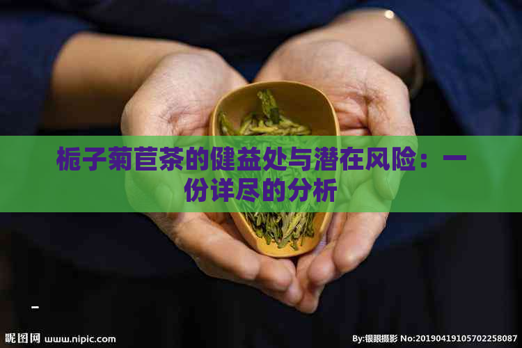 栀子菊苣茶的健益处与潜在风险：一份详尽的分析