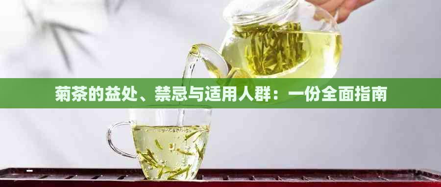 菊茶的益处、禁忌与适用人群：一份全面指南