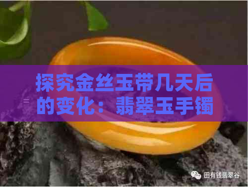 探究金丝玉带几天后的变化：翡翠玉手镯为何如此神奇？