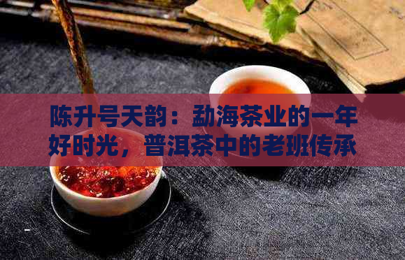 陈升号天韵：勐海茶业的一年好时光，普洱茶中的老班传承