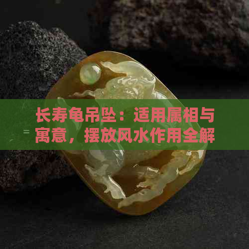 长寿龟吊坠：适用属相与寓意，摆放风水作用全解析