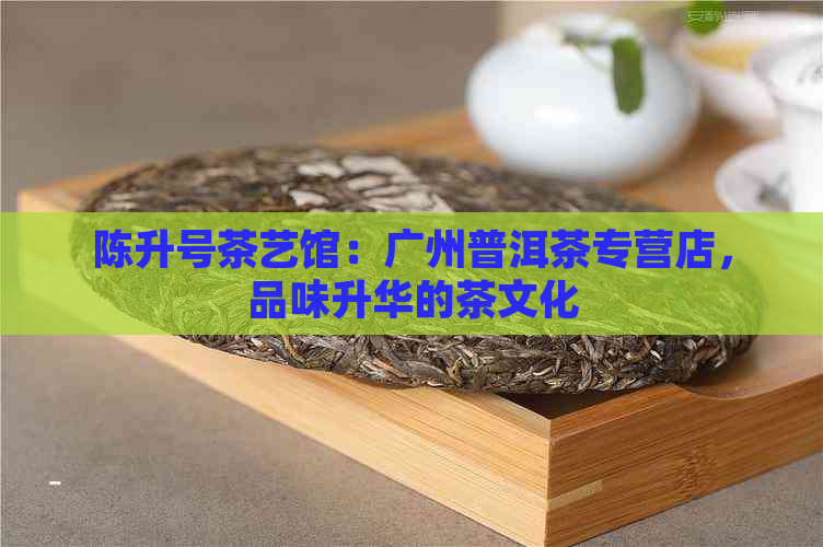 陈升号茶艺馆：广州普洱茶专营店，品味升华的茶文化