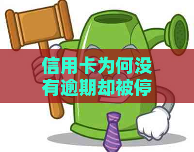 信用卡为何没有逾期却被停用？了解原因及解决方法