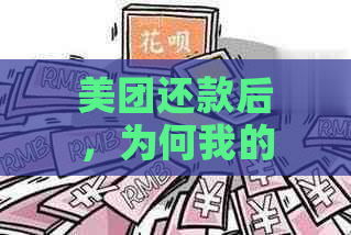 美团还款后，为何我的借款额度显示为零？信用评分不足或其他原因导致吗？