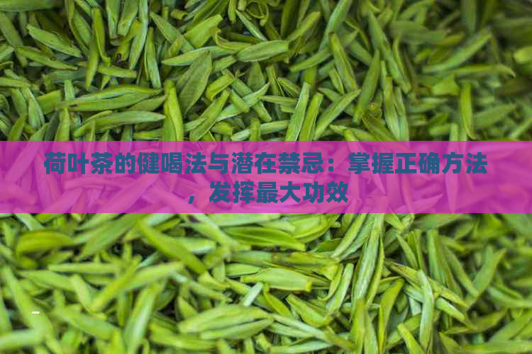 荷叶茶的健喝法与潜在禁忌：掌握正确方法，发挥更大功效