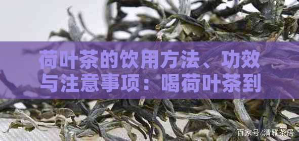 荷叶茶的饮用方法、功效与注意事项：喝荷叶茶到底好不好？