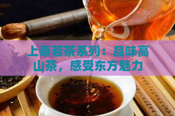 上奉茗茶系列：品味高山茶，感受东方魅力