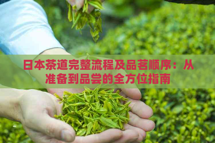 茶道完整流程及品茗顺序：从准备到品尝的全方位指南