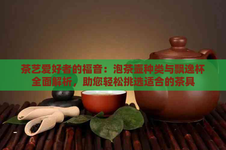 茶艺爱好者的福音：泡茶壶种类与飘逸杯全面解析，助您轻松挑选适合的茶具