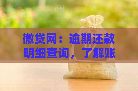 微贷网：逾期还款明细查询，了解账单记录与操作指南