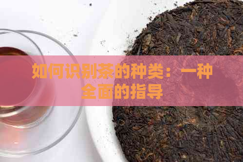 如何识别茶的种类：一种全面的指导