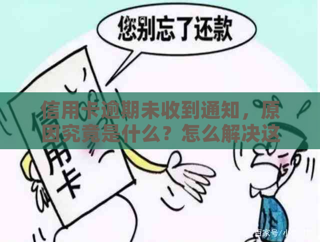 信用卡逾期未收到通知，原因究竟是什么？怎么解决这个问题？