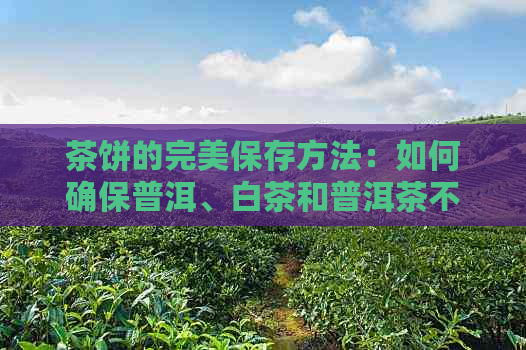 茶饼的完美保存方法：如何确保普洱、白茶和普洱茶不变质