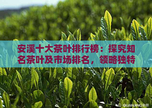 安溪十大茶叶排行榜：探究知名茶叶及市场排名，领略独特口感！