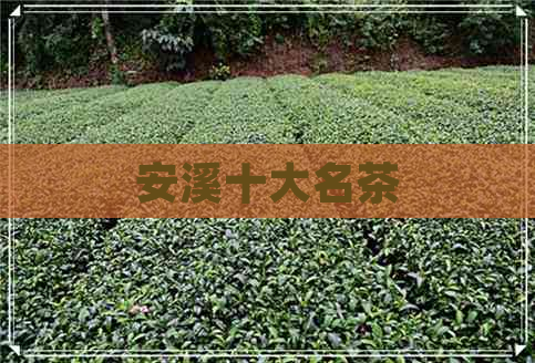 安溪十大名茶