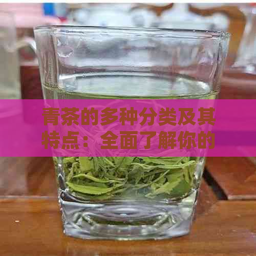 青茶的多种分类及其特点：全面了解你的茶饮选择