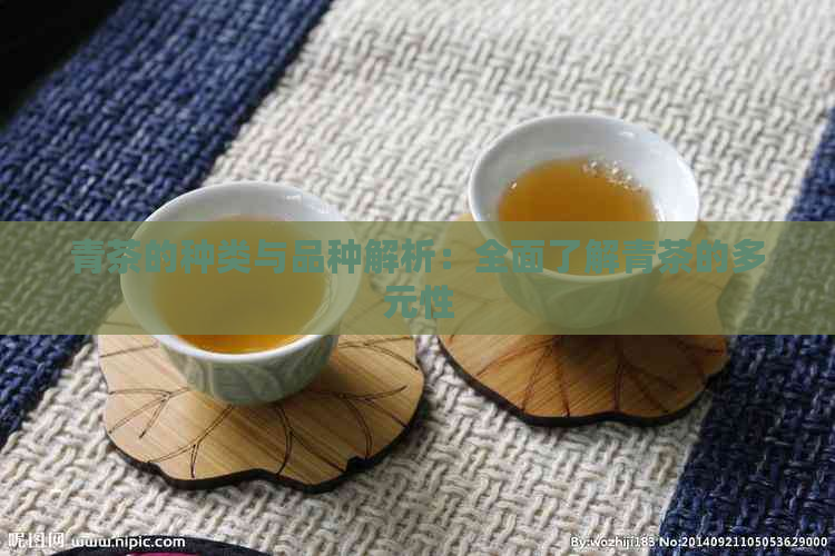 青茶的种类与品种解析：全面了解青茶的多元性