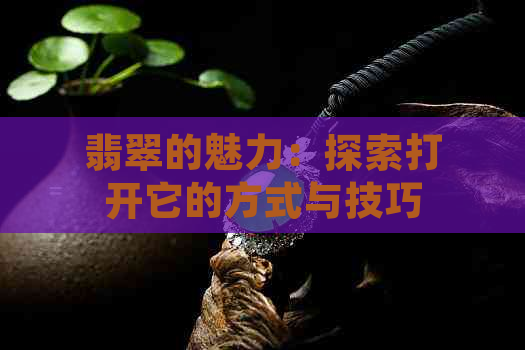 翡翠的魅力：探索打开它的方式与技巧