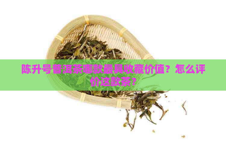 陈升号普洱茶哪款更具收藏价值？怎么评价这款茶？