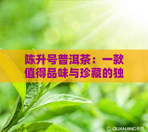 陈升号普洱茶：一款值得品味与珍藏的独特佳品