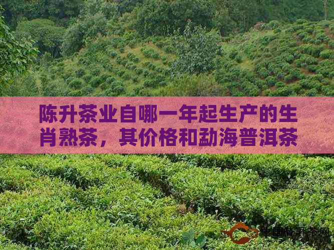 陈升茶业自哪一年起生产的生肖熟茶，其价格和勐海普洱茶有何关联？