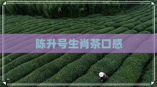 陈升号生肖茶口感