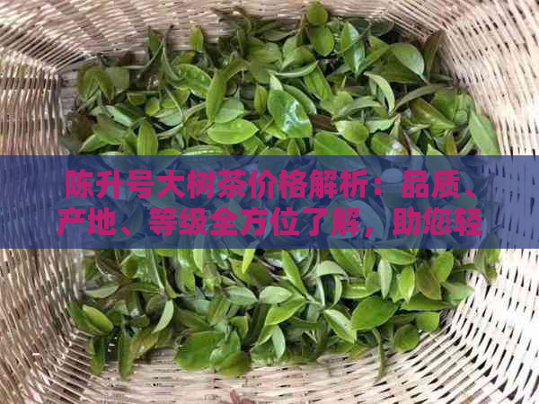 陈升号大树茶价格解析：品质、产地、等级全方位了解，助您轻松选购优质茶叶