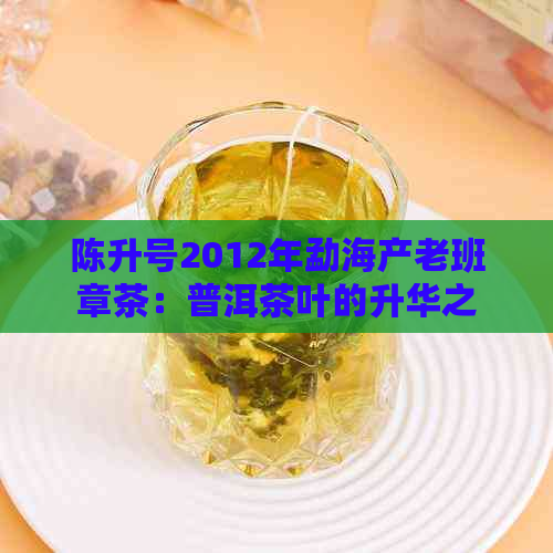 陈升号2012年勐海产老班章茶：普洱茶叶的升华之作与的传承故事